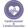 Cardiovasular at Cerebrovascular