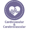 Cardiovasculares y Cerebrovasculares