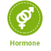 호르몬