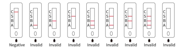 FluBtestkit