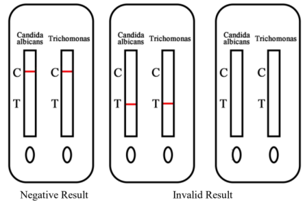 Result Interpretation2