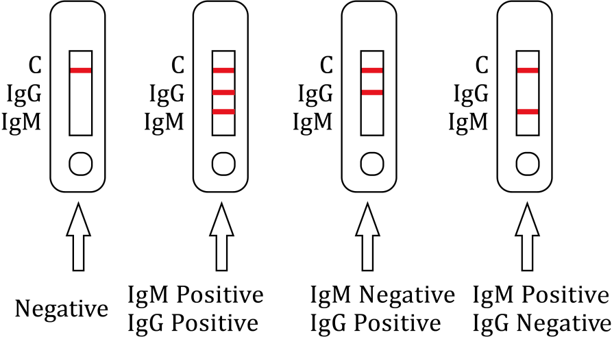 Result Interpretation